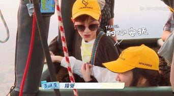 国产鸡情,探寻我国鸡肉产业的崛起之路  第2张