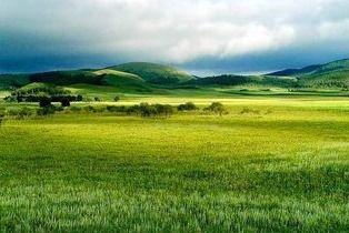 青草原国产,探寻神秘草原帝国的历史足迹 第2张 青草原国产,探寻神秘草原帝国的历史足迹 第2张